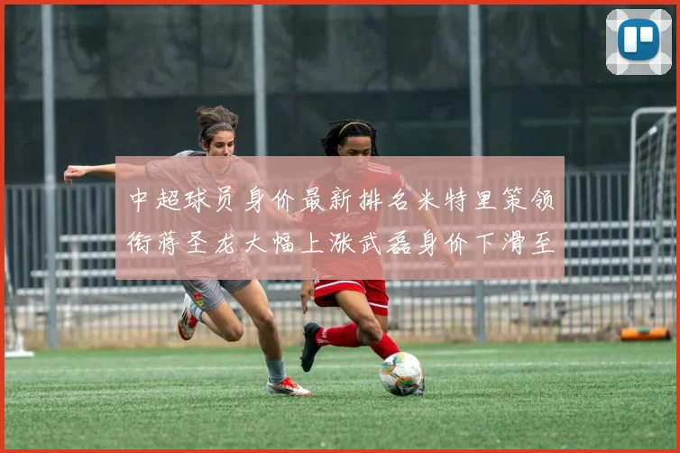 中超球员身价最新排名米特里策领衔蒋圣龙大幅上涨武磊身价下滑至50万