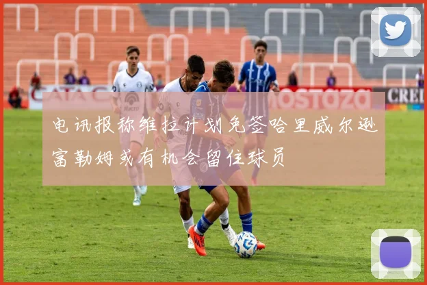 电讯报称维拉计划免签哈里威尔逊富勒姆或有机会留住球员