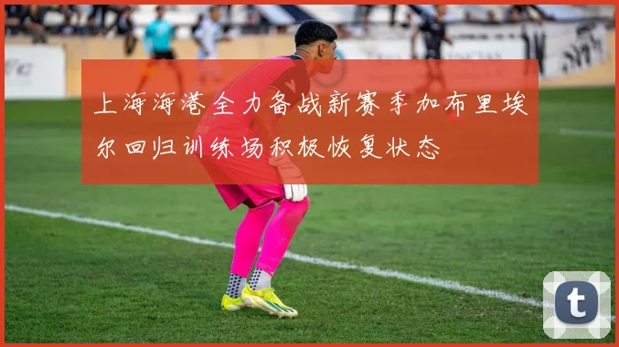 上海海港全力备战新赛季加布里埃尔回归训练场积极恢复状态
