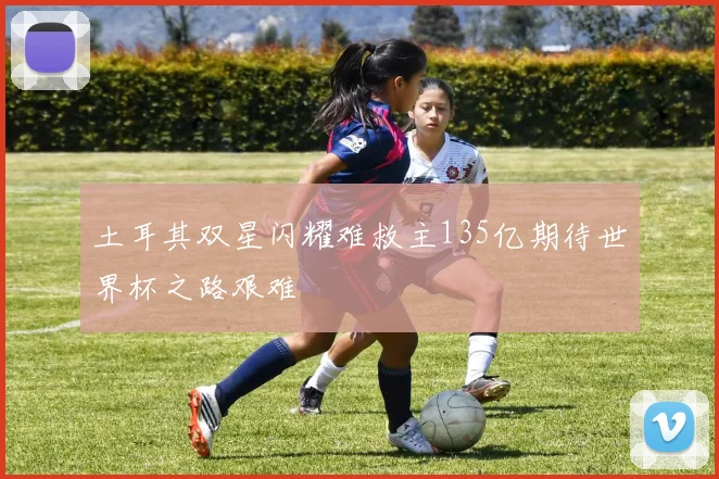 土耳其双星闪耀难救主135亿期待世界杯之路艰难